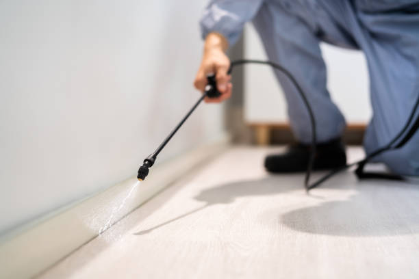 Licensed Termite Control service in Newton, AL - Show Me Pest Control